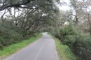 Piste cyclable à Bormes
